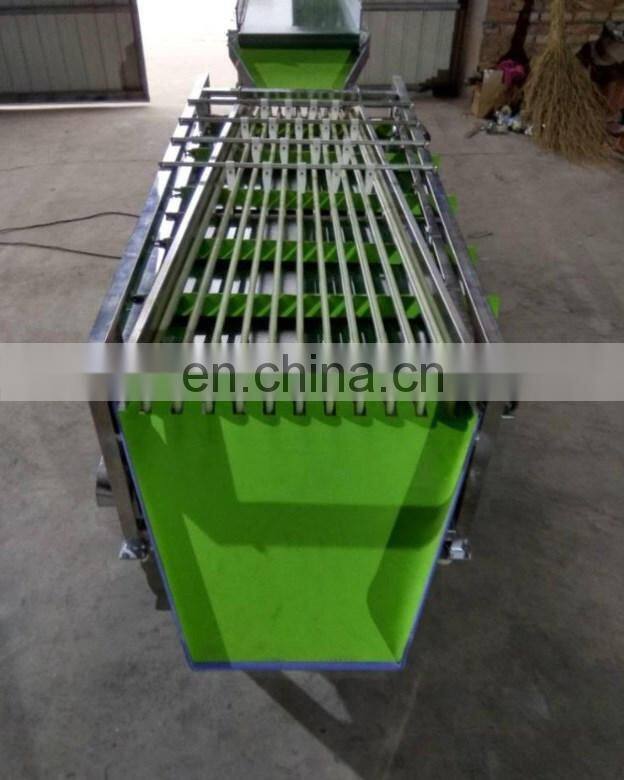 Stainless steel olive sorting machine, dates sorting machine, cherry sorting machine
