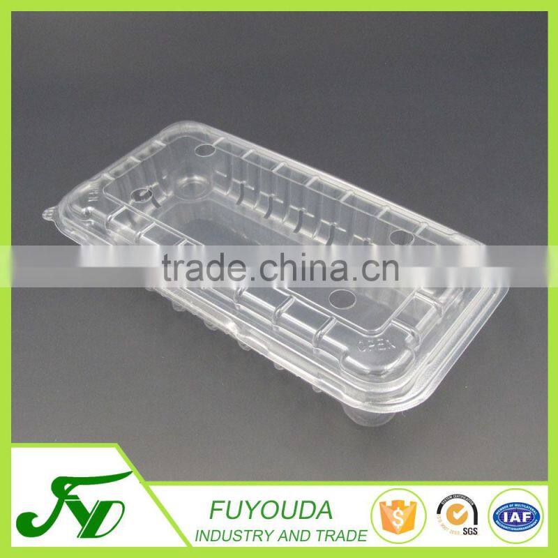 Hot sales luxury clear big plastic blister fruit container