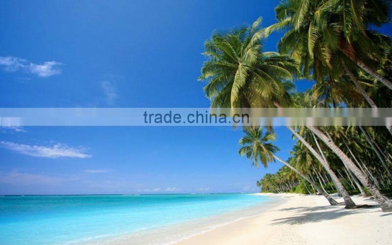 2016 RO-2000 RO-3000 RO-4000 Salt Water to fresh Treatment Equipment for hotel in island