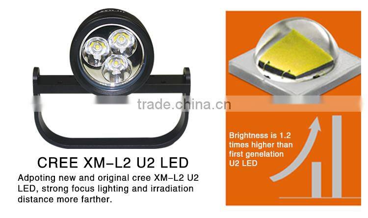 New Arrival Underwater Waterproof IPX8 Dive light LED Canister Flashlight