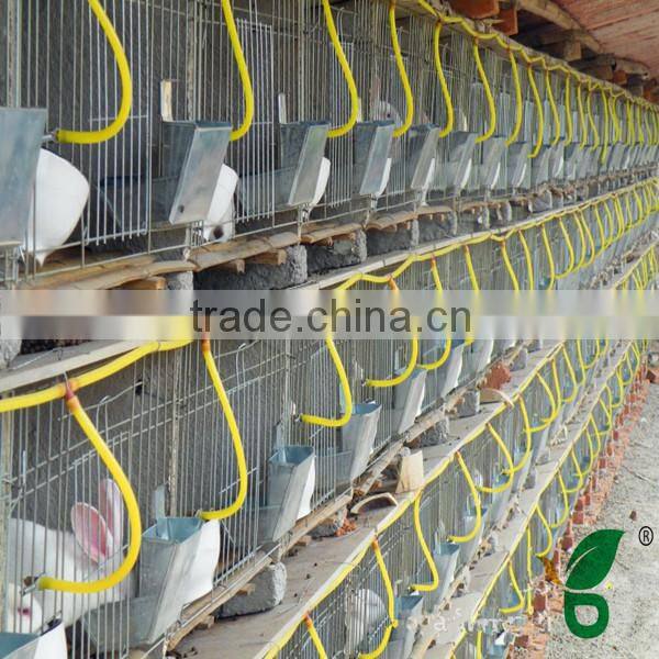 galvanized welded steel wire mesh rabbit cages