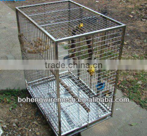 AnPing BoHeng Chicken Wire Mesh