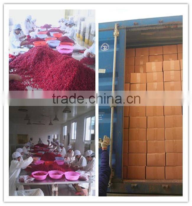 sweet dried fruits sun Dry Apricot