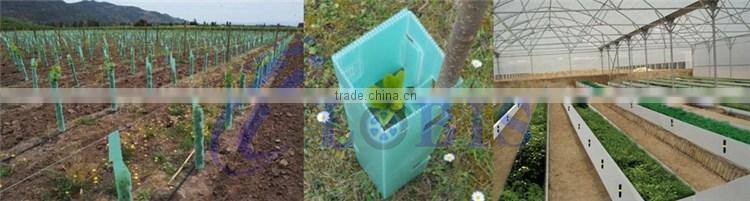 Corrugated High Impact Polypropylene PP Sheet