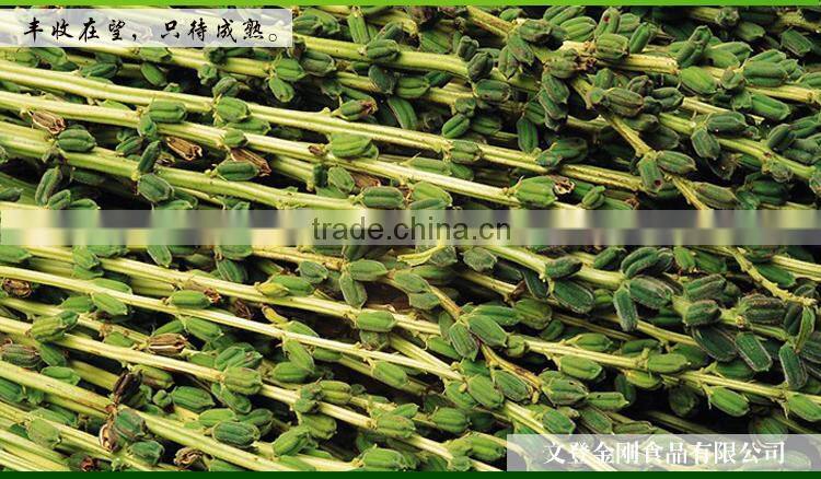 Sesame seeds for sale/Roasted sesame seeds