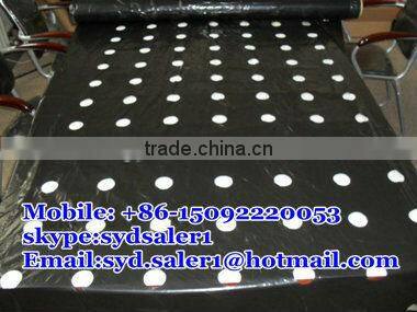Perforation machine for bopp ldpe film