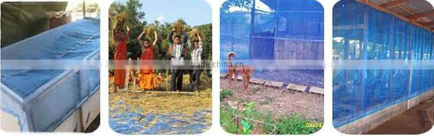 blue nylon net/pe farm net/pe screen fishing net/mosquito blue net/window screen net