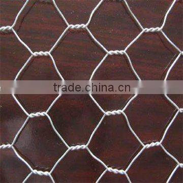 hexagonal grid mesh