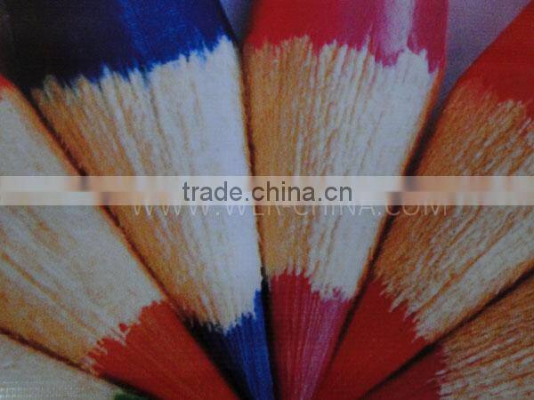 Hot Selling 3.2m WER S3208 printing machine, Large Format Solvent Printer