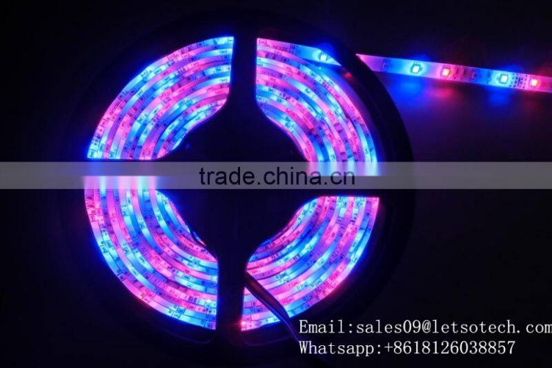 Shenzhen factory LED manufacturer Flex Strips christmas 2015 wholesale price 5m 5050RGB led light strip with 24 key remote