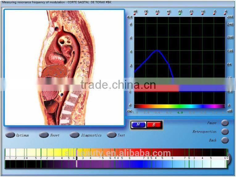 SLL NEW quantum magnetic resonance body analyzer