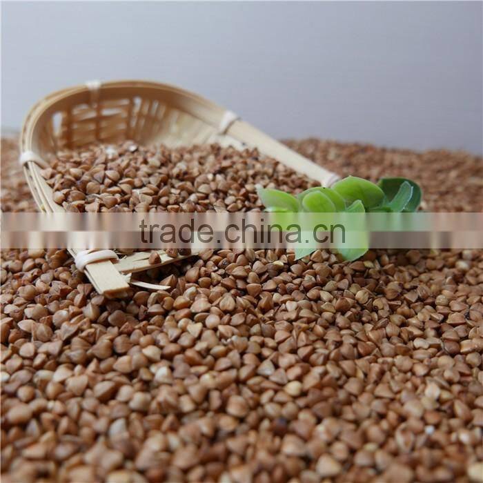 2015With Good Manufacturer Roasted Buckwheat Kernel