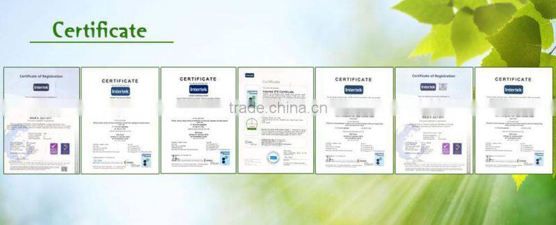 canned salted broad beans in brine