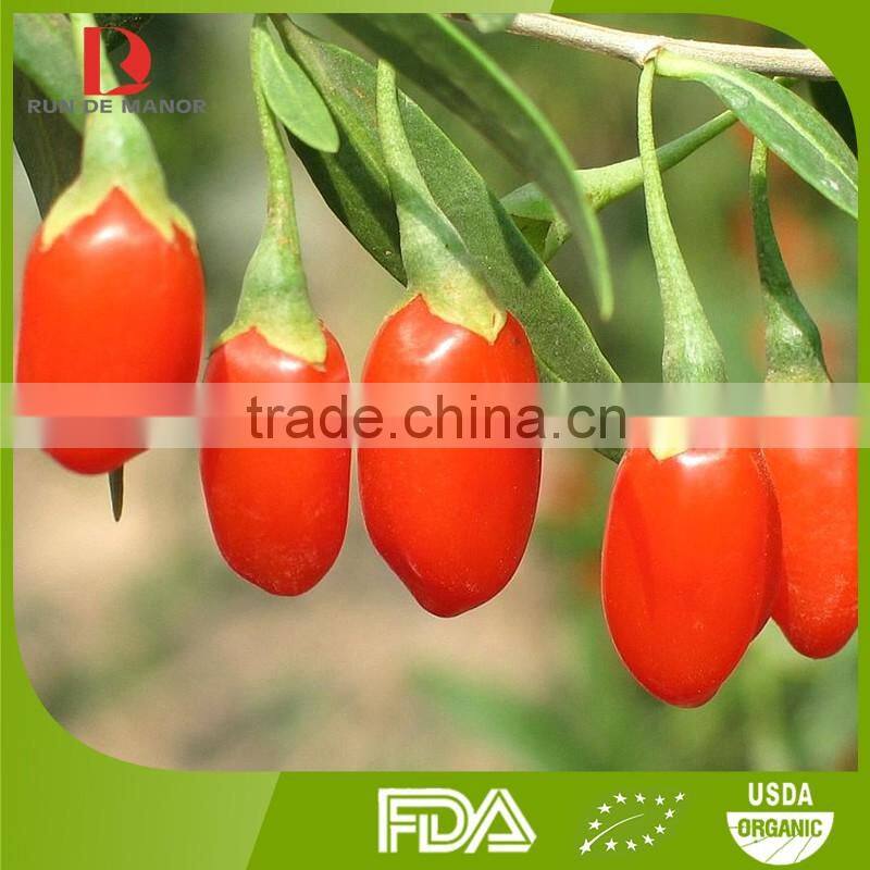 ningxia organic dried Chinese wolfberry/bulk goji berries