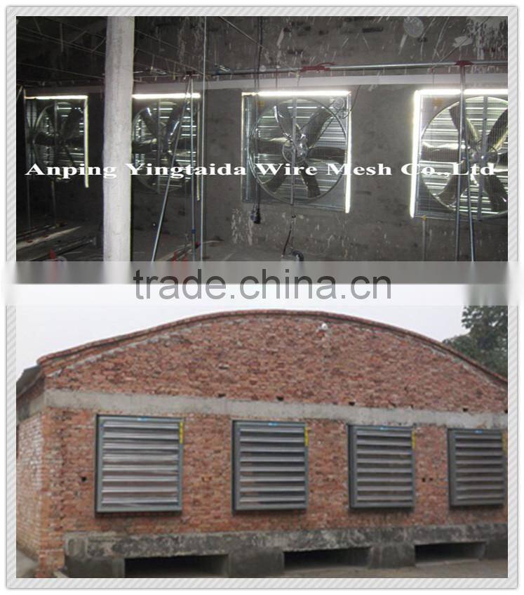standardized chicken/broiler shed equipment producers