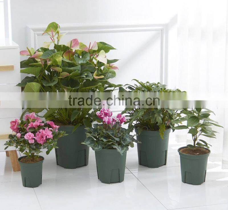 New item,high quality Green 1gallon Garden planter,flower pot