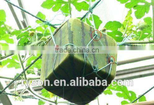 C-Ring Pneumatic Tools C-760