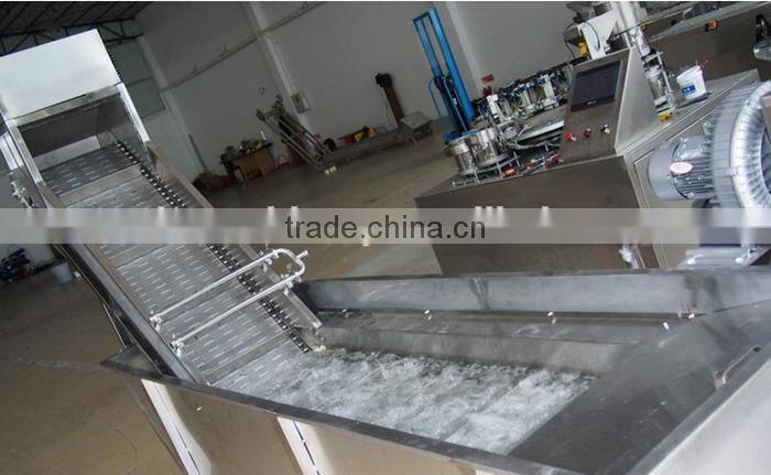 industrial brush type vegetable and fruit washing machine