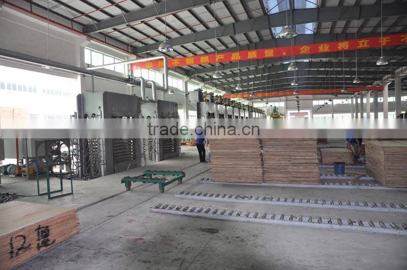 Standard/High quality Plywood production line