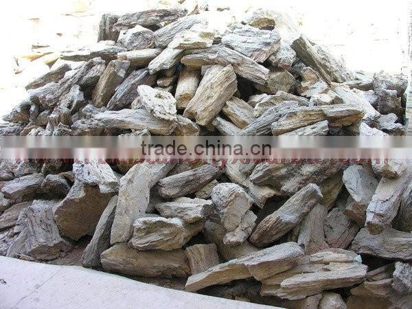 NATURAL STONE PETRIFIED WOOD TILES SLABS
