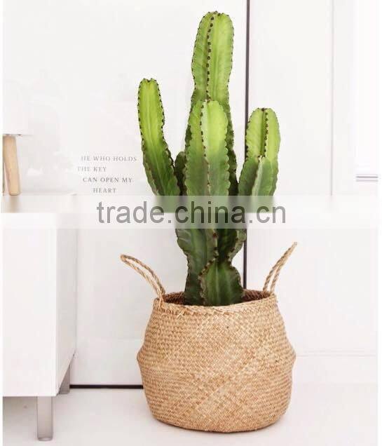 Natural belly seagrass basket / planter for home decoration