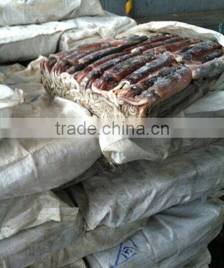 food wholesale of illex squid