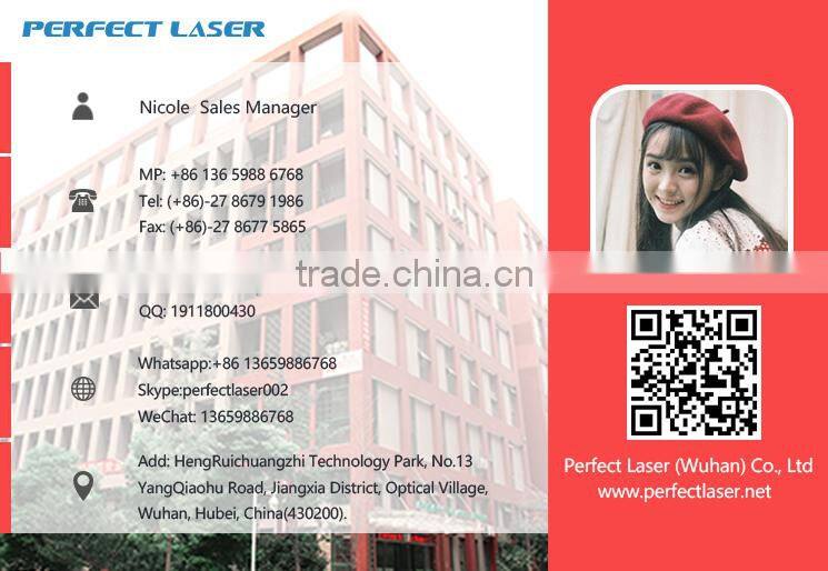 Fully-Automatic High Resolution Inkjet Printer PM-900