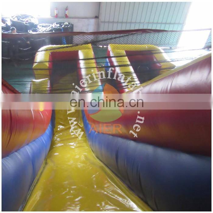 Giant Double Lane Inflatable Slide Bouncer