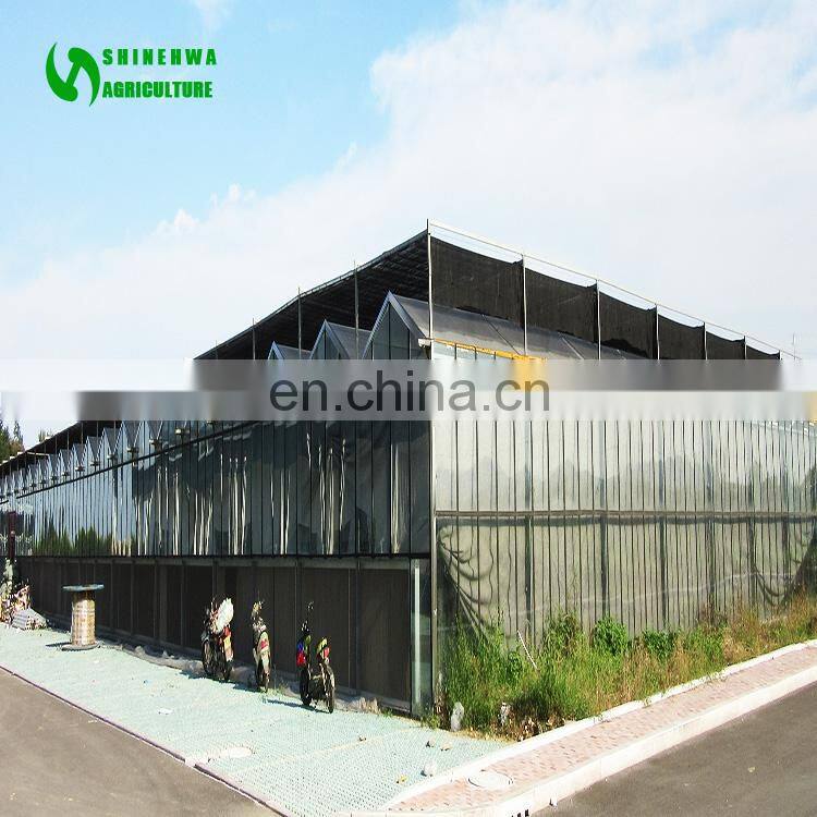 SHINEHWA Agricultural/Commercial Glass Greenhouse Glasshouse For Vegetable