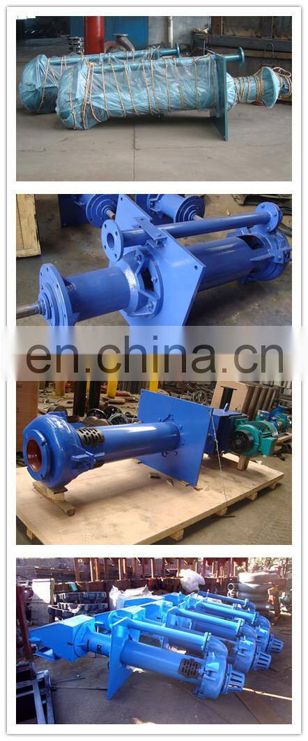 vertical pit pump