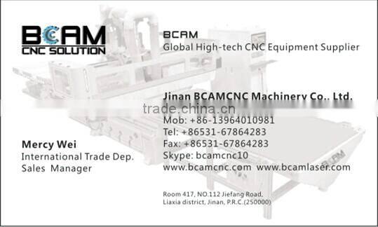 High quality cutting machine plasma prices BCP1325-200A