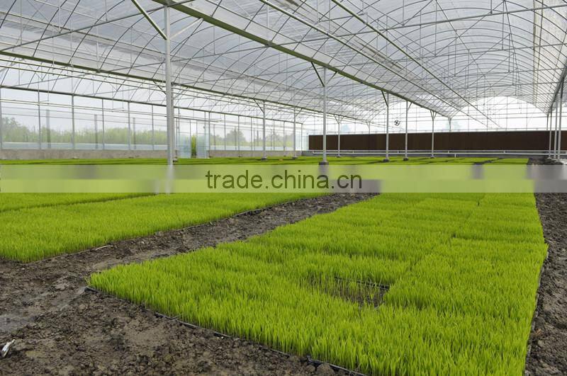 Hot Dipped Galvanized Frame Double Layers Inflatable Greenhouse