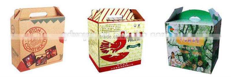 Custom High Quality Apple Packaging Box