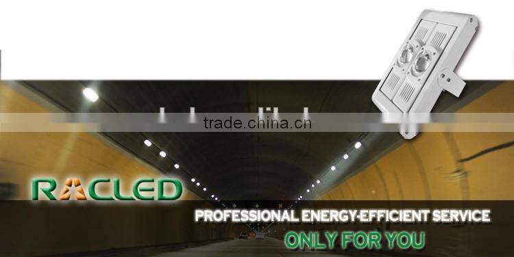 Various Lens Angle Available High Quality Standardized module led tunnel light 60W