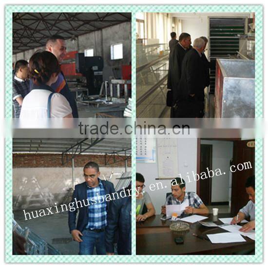 hot selling and good quality wire mesh quail cage