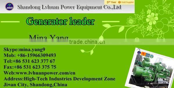 CE certified 10kw - 1mw coal methane gas /shale gas generator set