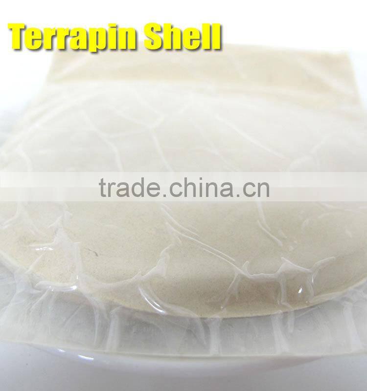 Natural Premium kg ODM OEM Trionyx shell personal care powder