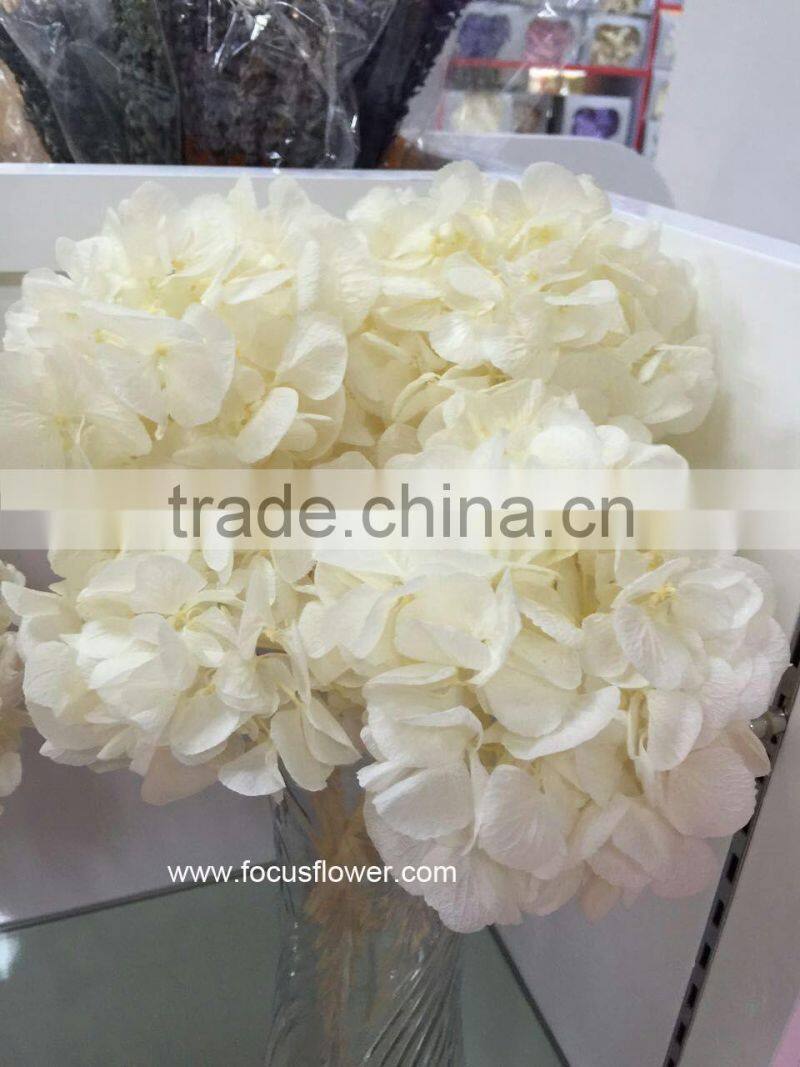 Flower Wedding Wholesale Preserved Flower Pink Hydrangea Macrophylla In Gift Box