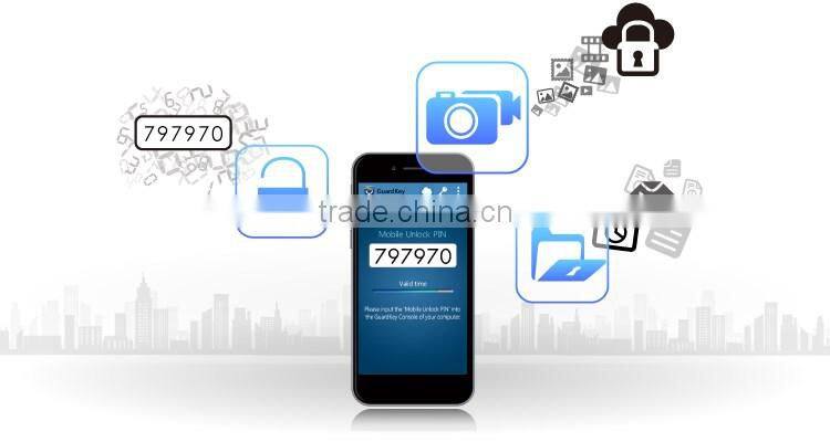 Keeping your files secure from hackers USB encryption