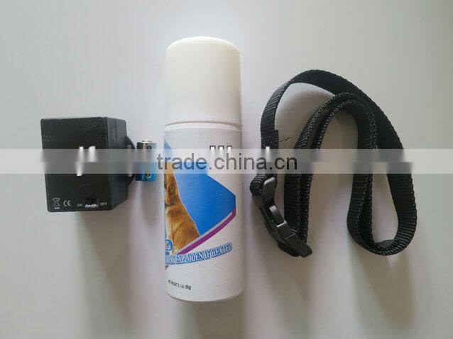 Pet Safe Behavior Modification Techniques