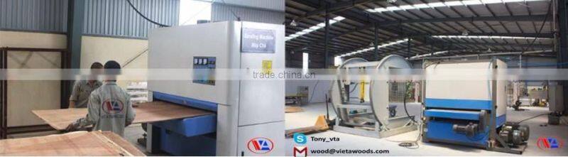 Eucalyptus joint Core Veneer for making Plywood from Vietnam