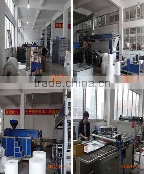 Printed Pp Shopping Bag