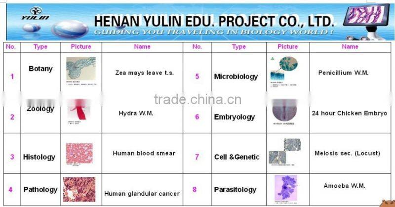 College and University Preparation Human Educational Pathology Slides