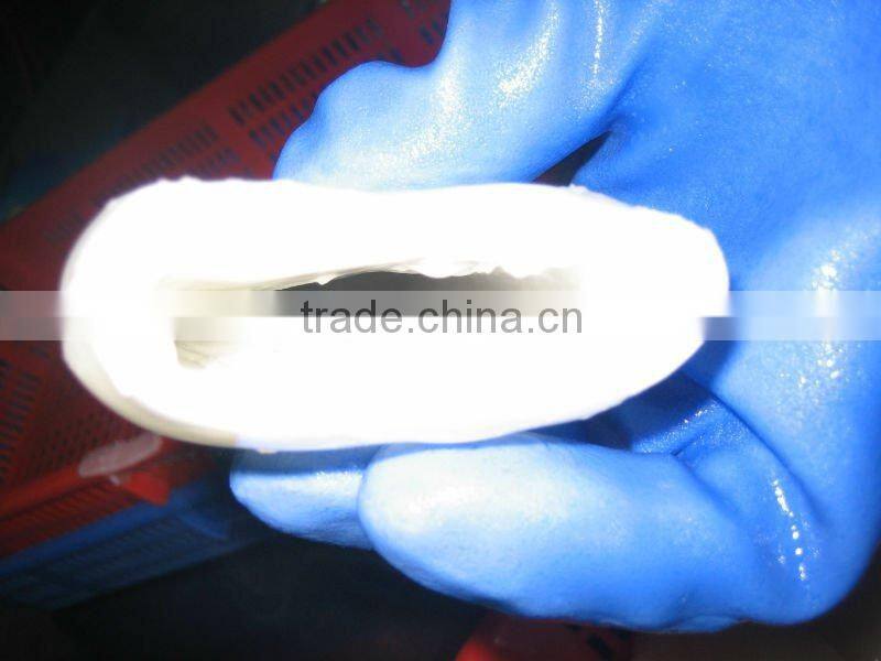 wholesale frozen cleaned squid tube seafood supplier