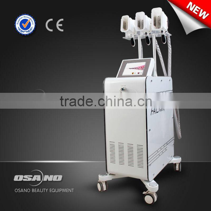 New coming Lipo Ice fat cryolypolysis machine 3d lipo salon