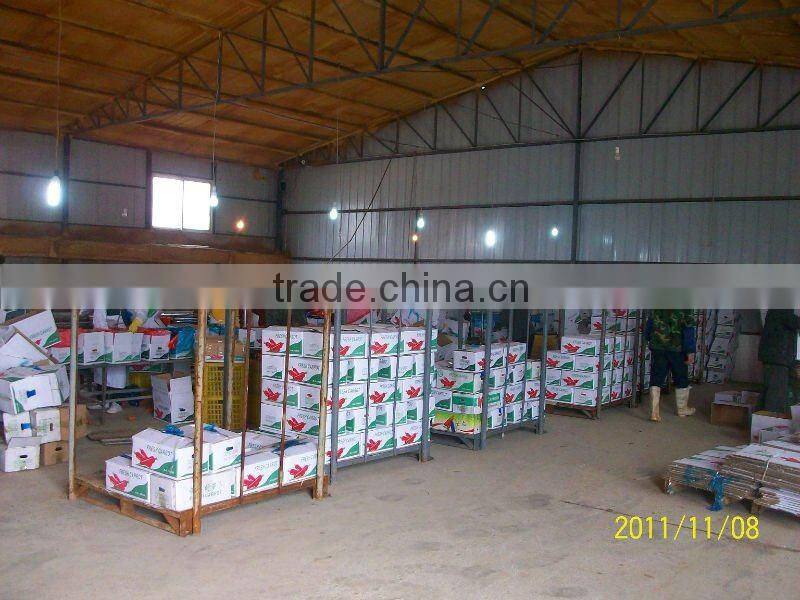 fresh baby carrot/farm fresh carrot