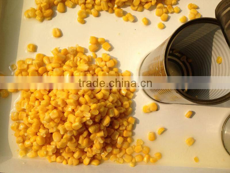 New crop Canned sweet corn 425gx24tin with best price