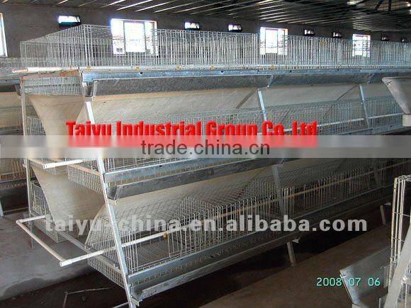 TAIYU chicken farm system (Professional Manufacturer, Design&Equipment, Nigerian /Lagos office,For birds in sales)