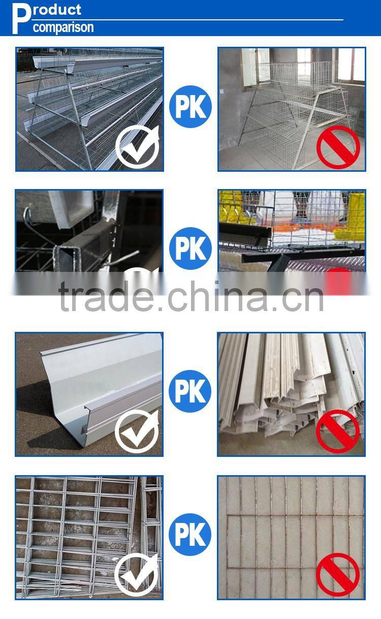 Hot sale 3 4 layer chicken cage egg chicken cage