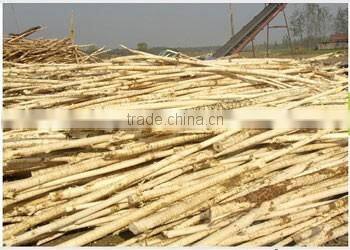 Hot sale ! Factory price Wood Peeling Machine